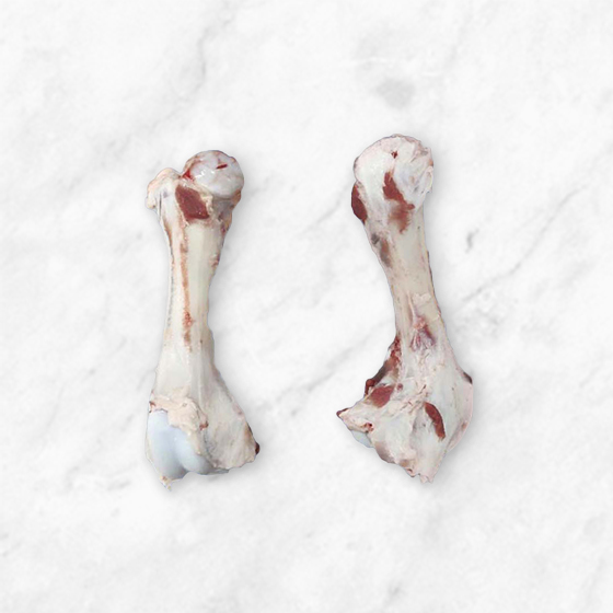 Femur Bones